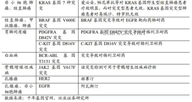 “生命消逝与自由受限”的深度对比分析：两种不可逆损失的权衡