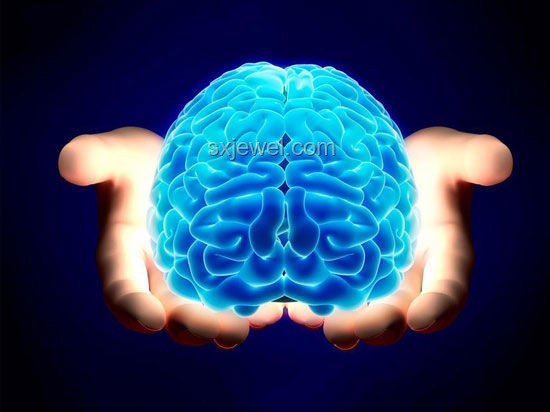 人脑为何不能删除记忆？电脑与大脑的差异及解决方案